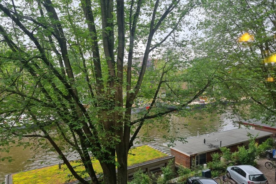 20260617_101816.jpg