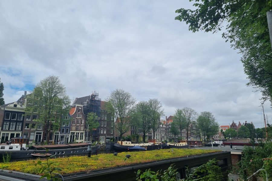 20260617_111557.jpg