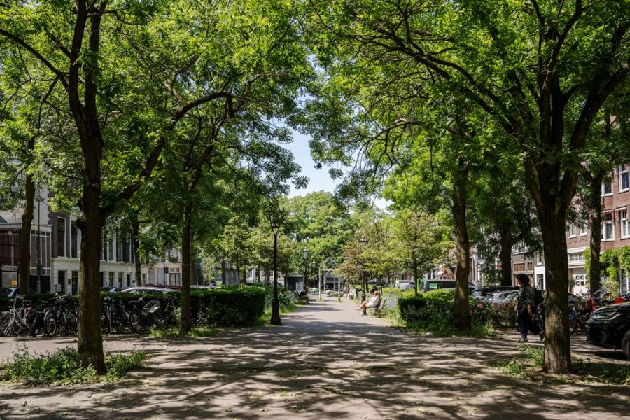 koenvanderleefotografie_frederiksplein32e_035.jpg